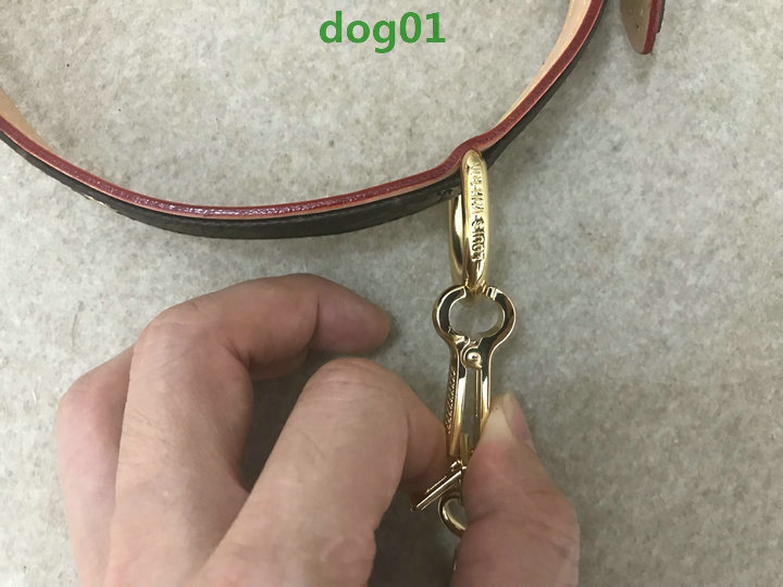 Code: dog01