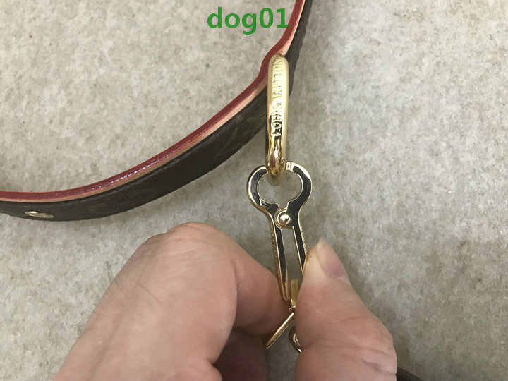 Code: dog01