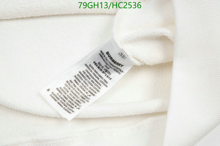 YUPOO-Burberry Best Designer Replicas clothing Code: HC2536