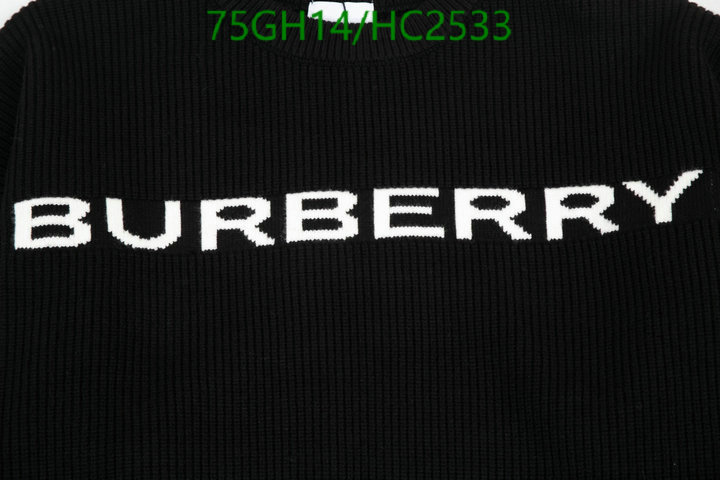 YUPOO-Burberry Best Designer Replicas clothing Code: HC2533
