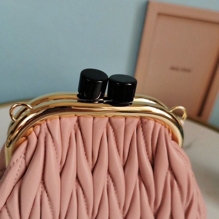 Miu Miu bags 5BP016s