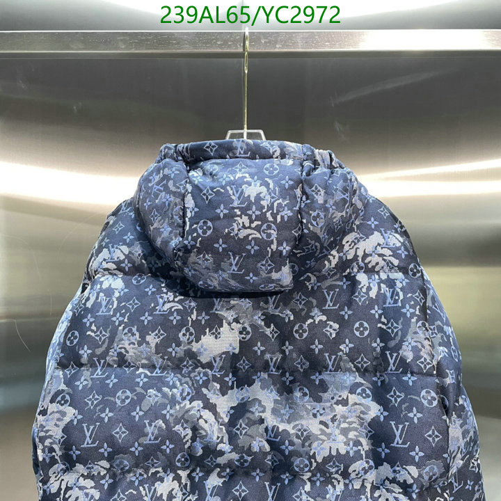 YUPOO-Louis Vuitton men's and women's down jacket Code: YC2972 $: 239USD