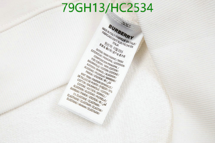 YUPOO-Burberry Best Designer Replicas clothing Code: HC2534