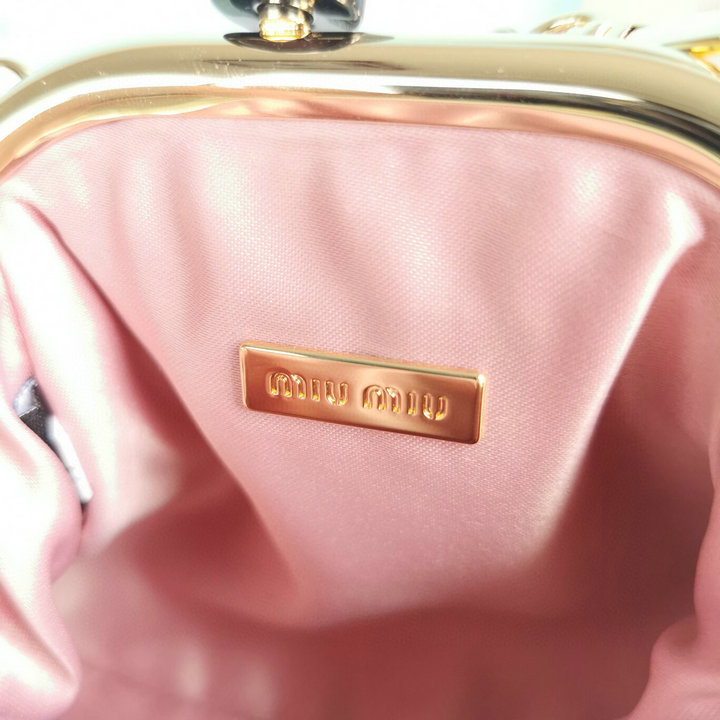 Miu Miu bags 5BP016L