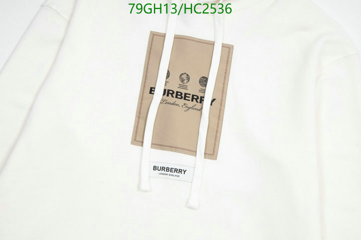 YUPOO-Burberry Best Designer Replicas clothing Code: HC2536