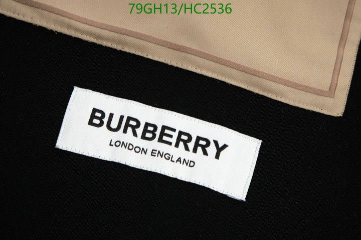 YUPOO-Burberry Best Designer Replicas clothing Code: HC2536