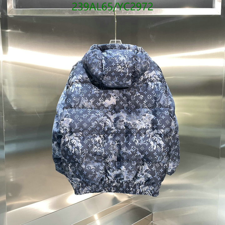 YUPOO-Louis Vuitton men's and women's down jacket Code: YC2972 $: 239USD