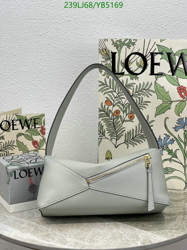 Loewe-Bag-Mirror Quality Code: YB5169 $: 239USD