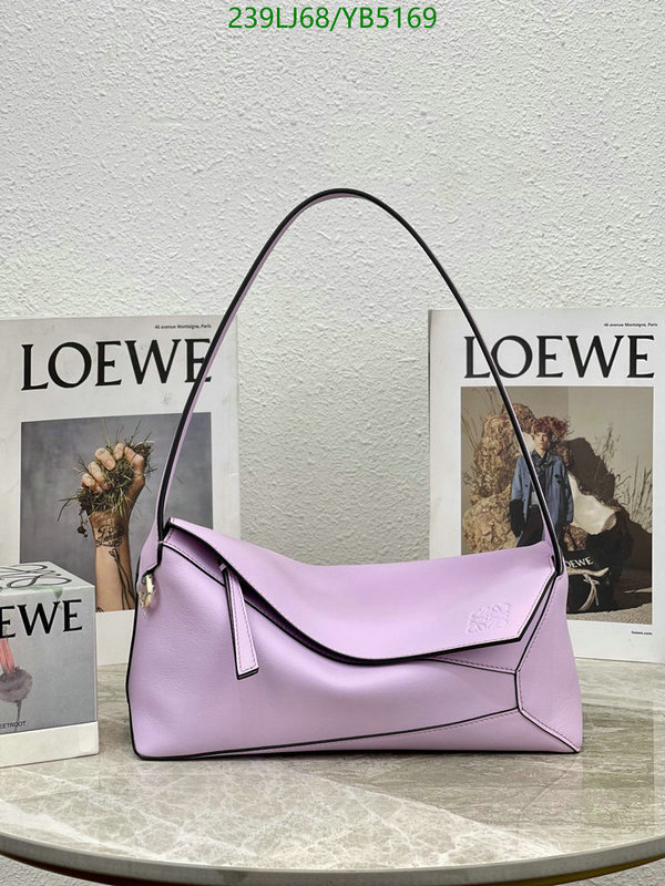 Loewe-Bag-Mirror Quality Code: YB5169 $: 239USD