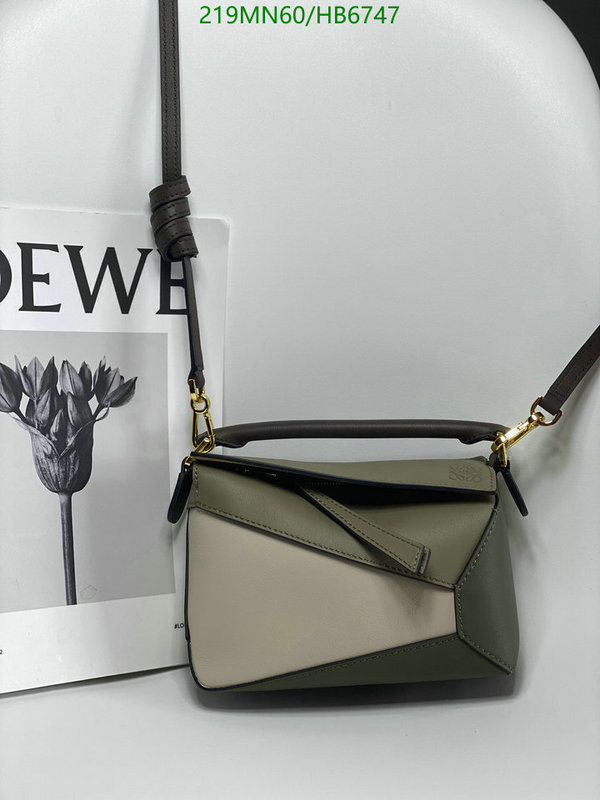 Loewe-Bag-Mirror Quality Code: HB6747 $: 219USD