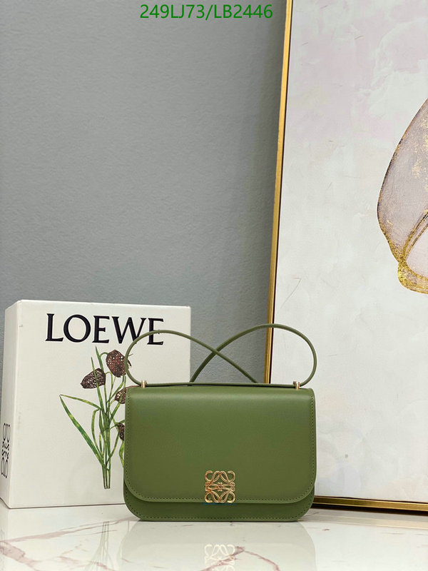 Loewe-Bag-Mirror Quality Code: LB2446 $: 249USD