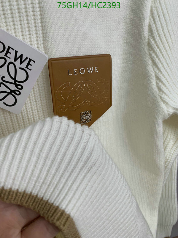 Loewe-Clothing Code: HC2393 $: 95USD