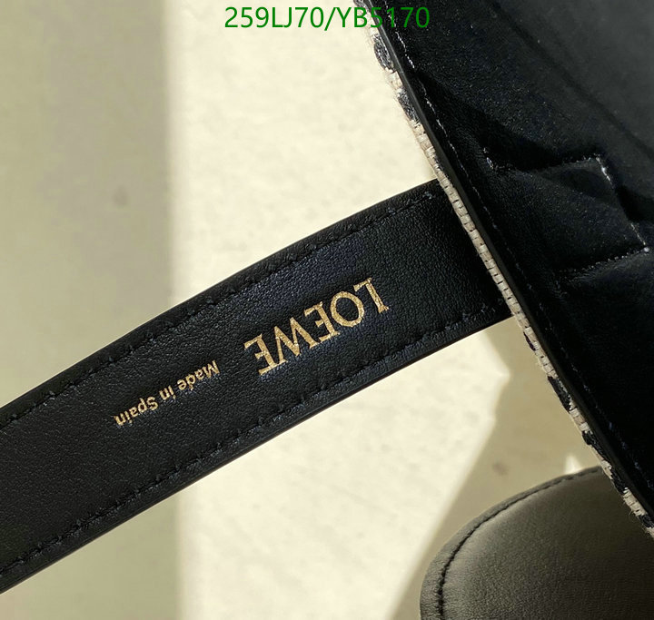 Loewe-Bag-Mirror Quality Code: YB5170 $: 259USD