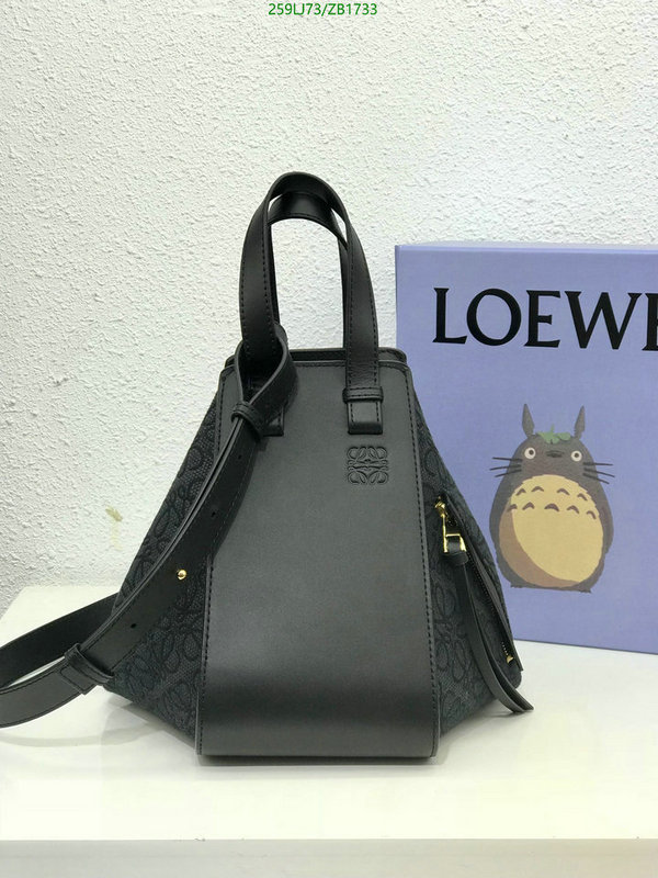 Loewe-Bag-Mirror Quality Code: ZB1733 $: 259USD