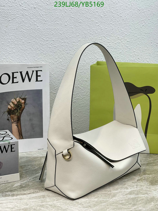 Loewe-Bag-Mirror Quality Code: YB5169 $: 239USD