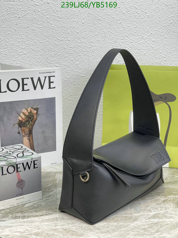 Loewe-Bag-Mirror Quality Code: YB5169 $: 239USD