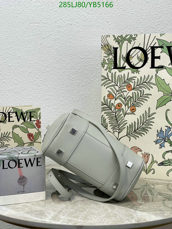 Loewe-Bag-Mirror Quality Code: YB5166 $: 285USD