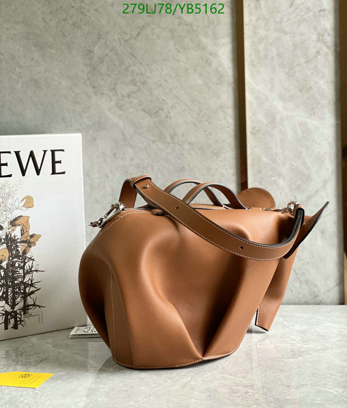 Loewe-Bag-Mirror Quality Code: YB5162 $: 279USD