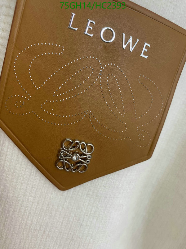 Loewe-Clothing Code: HC2393 $: 95USD