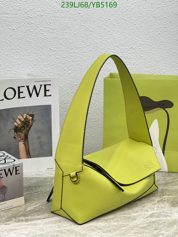 Loewe-Bag-Mirror Quality Code: YB5169 $: 239USD