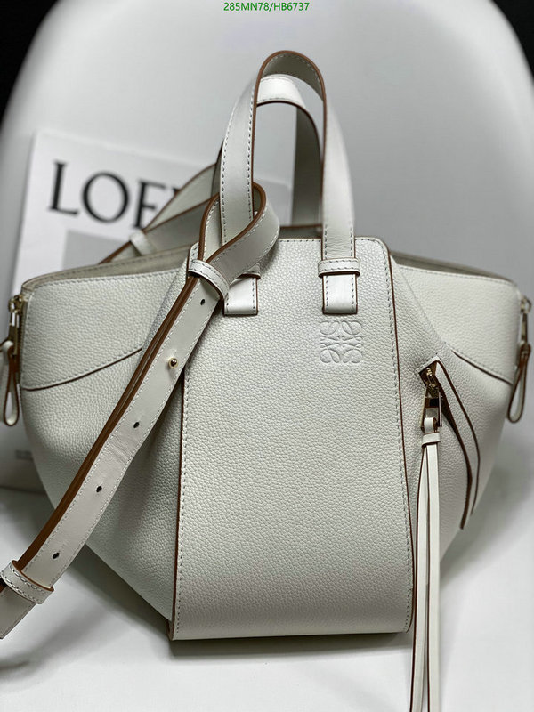 Loewe-Bag-Mirror Quality Code: HB6737 $: 285USD