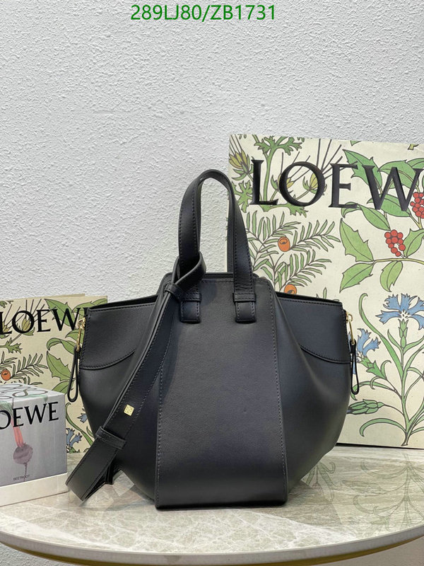 Loewe-Bag-Mirror Quality Code: ZB1731 $: 289USD