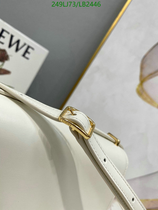 Loewe-Bag-Mirror Quality Code: LB2446 $: 249USD