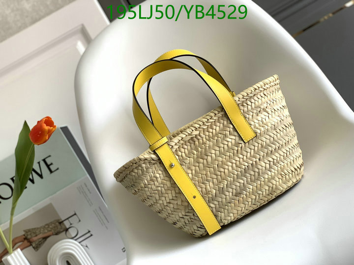 Loewe-Bag-Mirror Quality Code: YB4529 $: 195USD