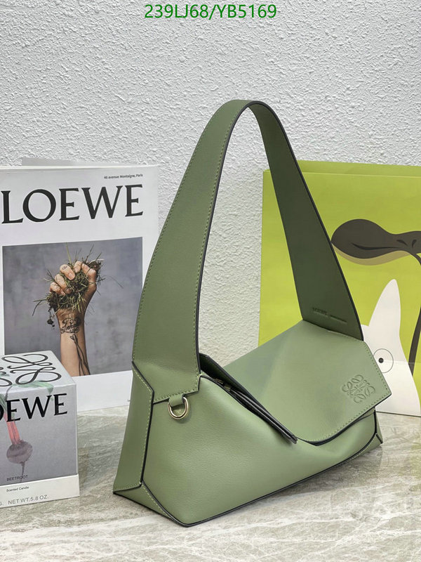 Loewe-Bag-Mirror Quality Code: YB5169 $: 239USD