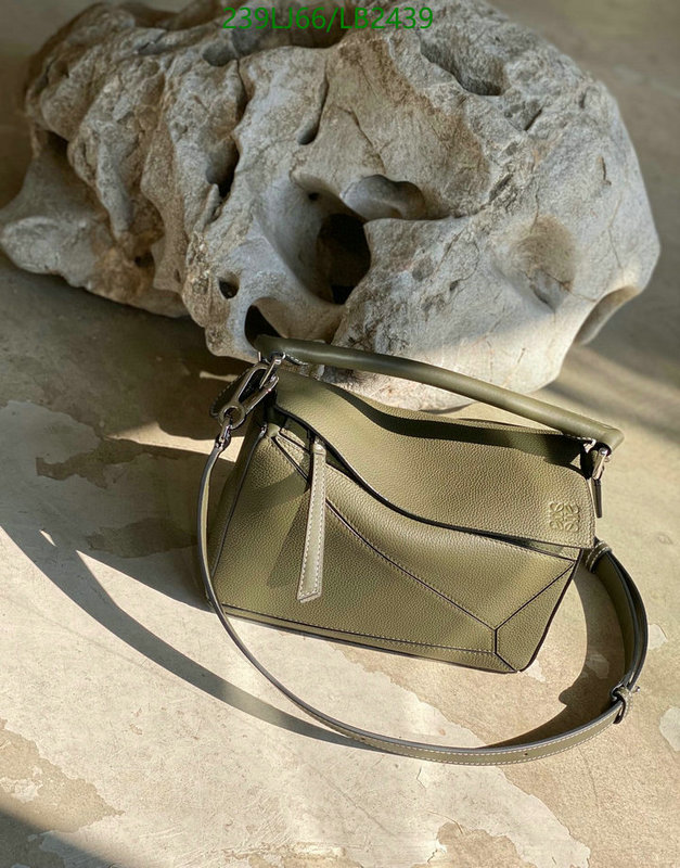 Loewe-Bag-Mirror Quality Code: LB2439 $: 239USD