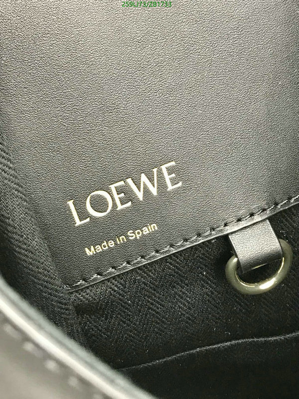 Loewe-Bag-Mirror Quality Code: ZB1733 $: 259USD