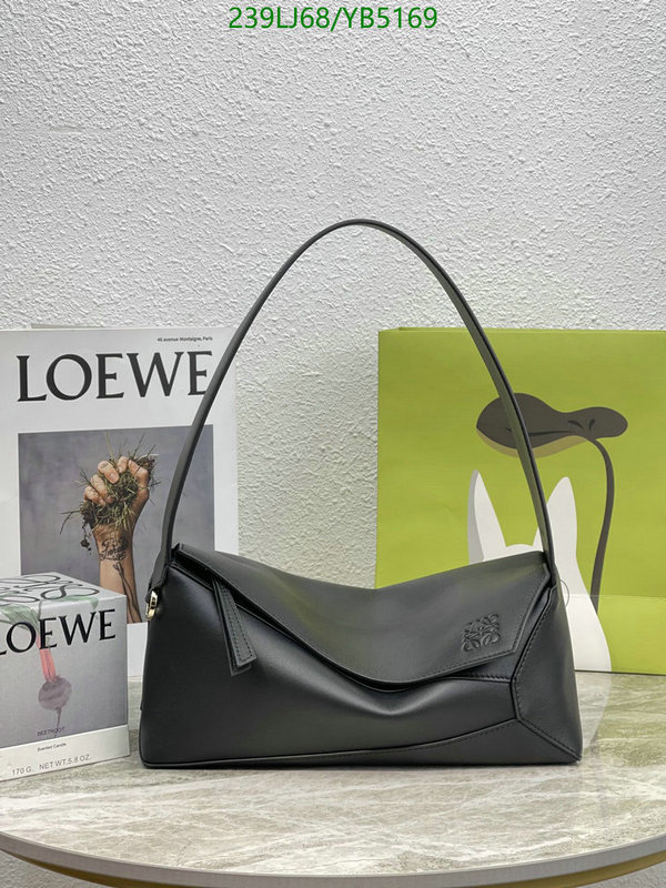 Loewe-Bag-Mirror Quality Code: YB5169 $: 239USD