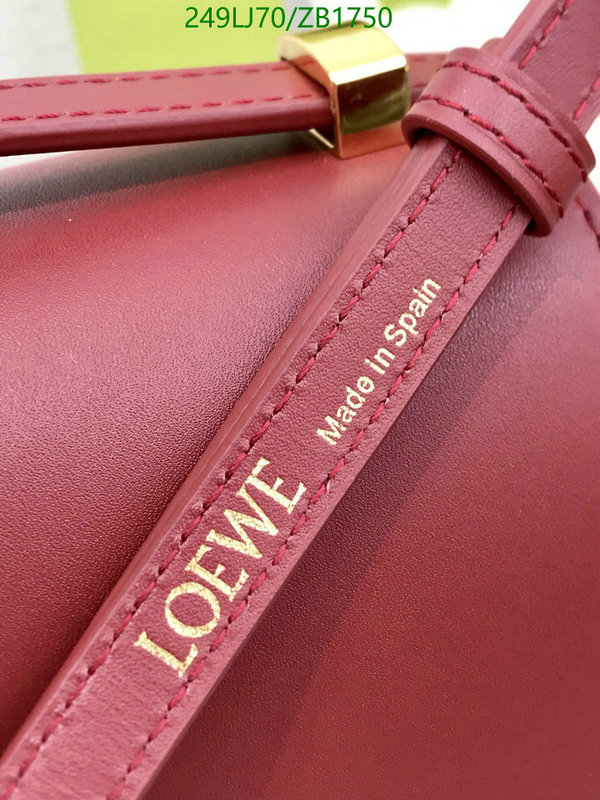 Loewe-Bag-Mirror Quality Code: ZB1750 $: 249USD