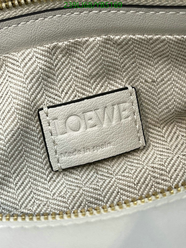 Loewe-Bag-Mirror Quality Code: YB5169 $: 239USD