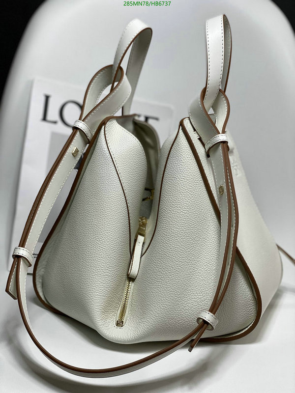 Loewe-Bag-Mirror Quality Code: HB6737 $: 285USD