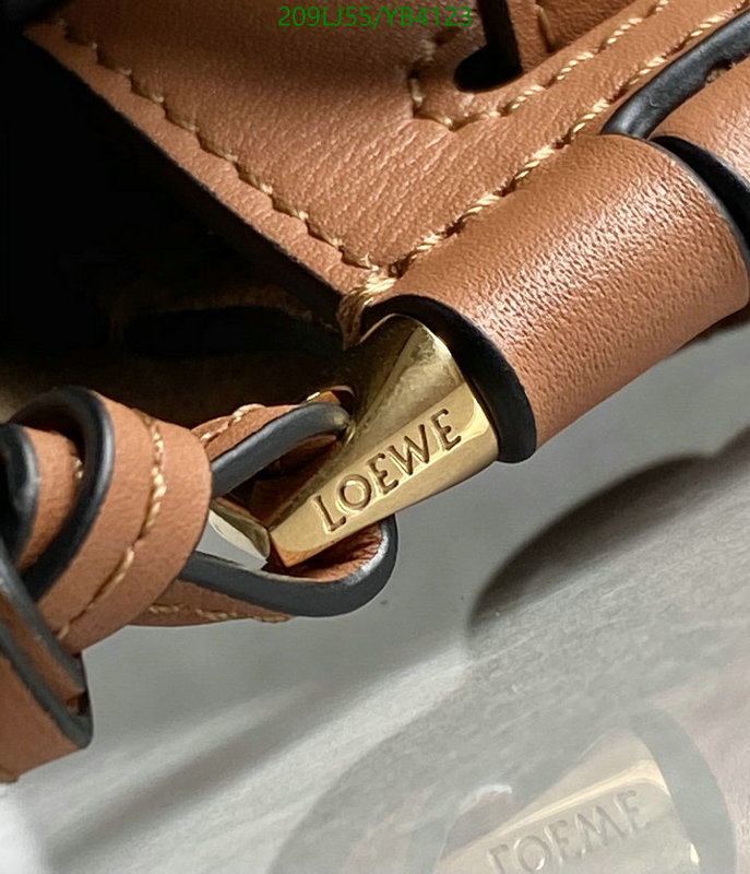 Loewe-Bag-Mirror Quality Code: YB4123 $: 209USD