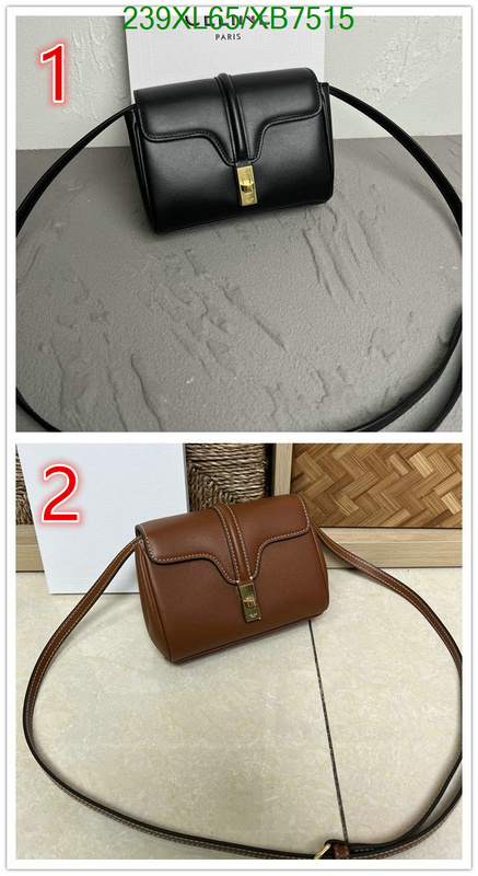 Celine-Bag-Mirror Quality Code: XB7515 $: 239USD