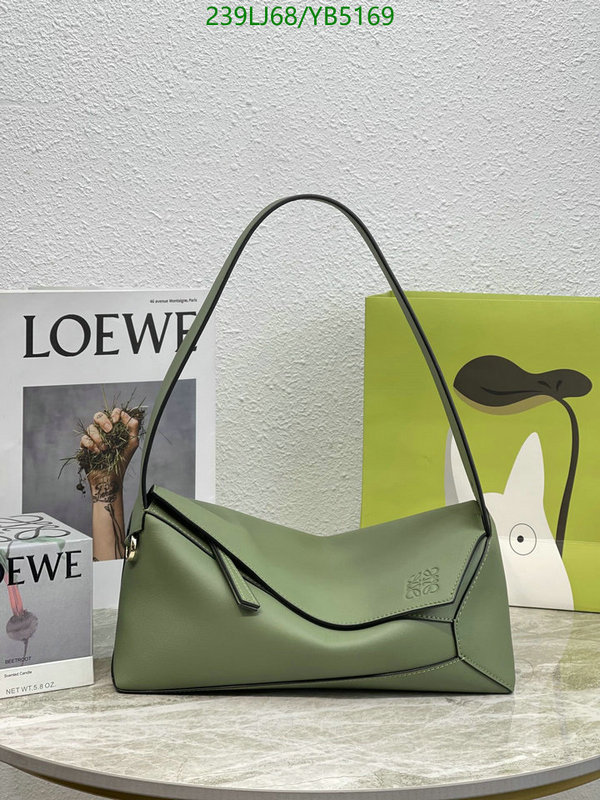 Loewe-Bag-Mirror Quality Code: YB5169 $: 239USD