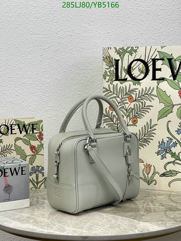 Loewe-Bag-Mirror Quality Code: YB5166 $: 285USD