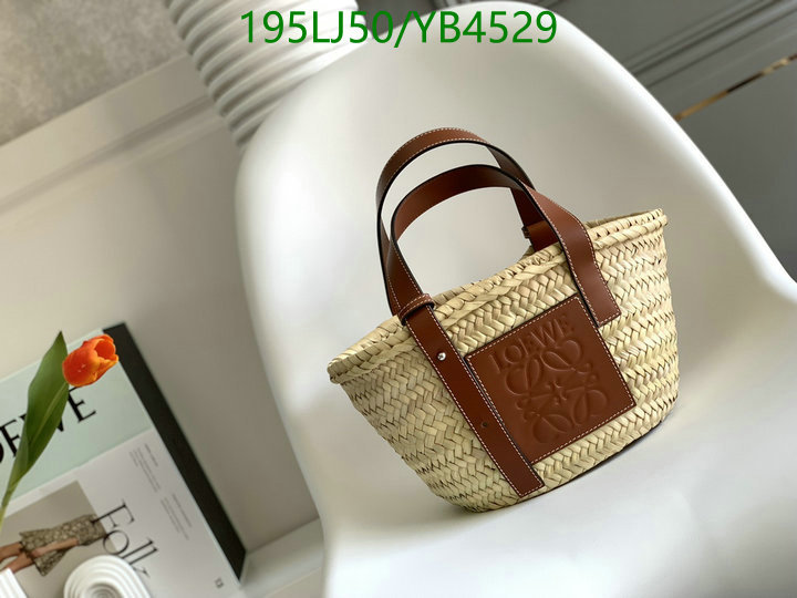 Loewe-Bag-Mirror Quality Code: YB4529 $: 195USD