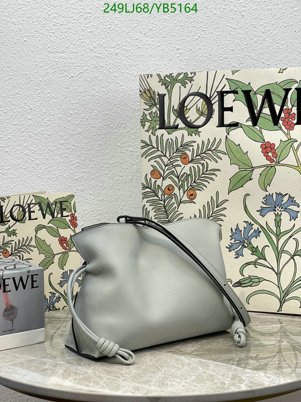 Loewe-Bag-Mirror Quality Code: YB5164