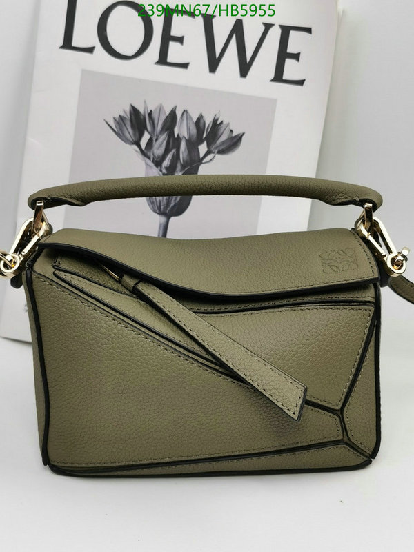 Loewe-Bag-Mirror Quality Code: HB5955 $: 239USD