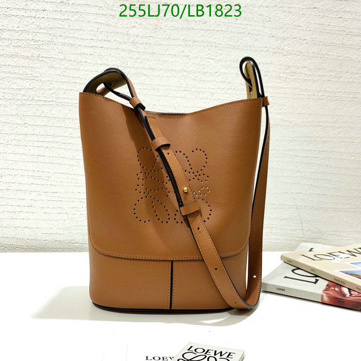 Loewe-Bag-Mirror Quality Code: LB1823 $: 255USD