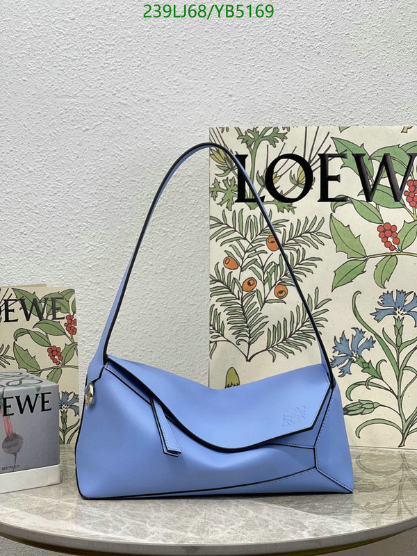 Loewe-Bag-Mirror Quality Code: YB5169 $: 239USD