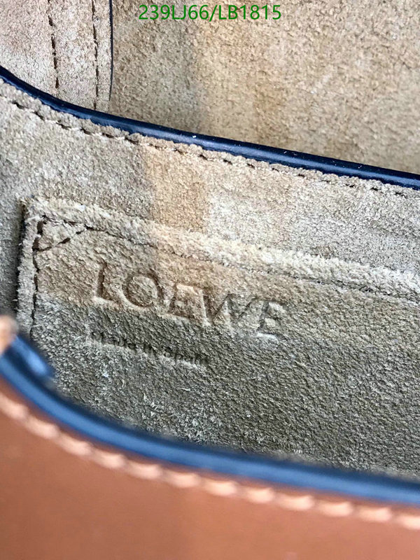 Loewe-Bag-Mirror Quality Code: LB1815 $: 239USD