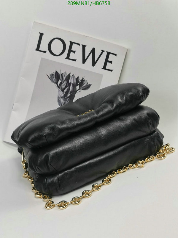 Loewe-Bag-Mirror Quality Code: HB6758 $: 289USD