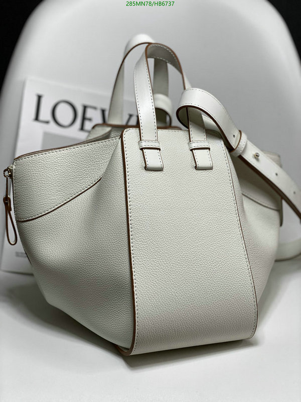 Loewe-Bag-Mirror Quality Code: HB6737 $: 285USD