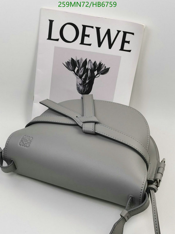 Loewe-Bag-Mirror Quality Code: HB6759 $: 259USD