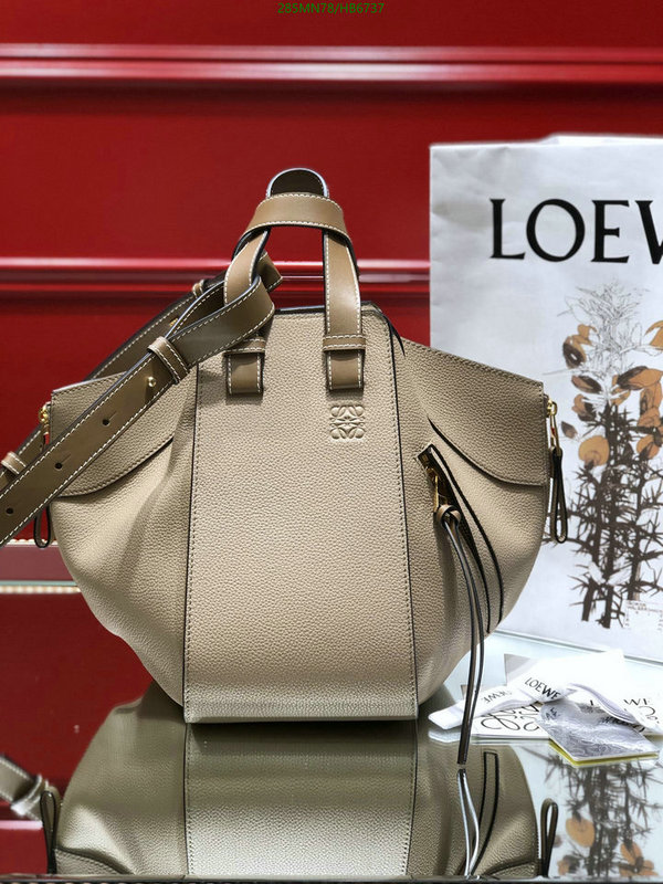 Loewe-Bag-Mirror Quality Code: HB6737 $: 285USD
