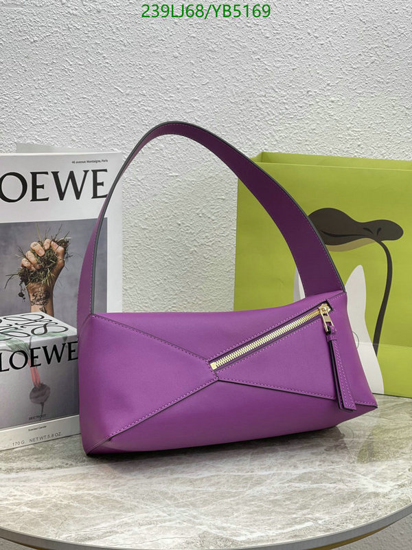 Loewe-Bag-Mirror Quality Code: YB5169 $: 239USD